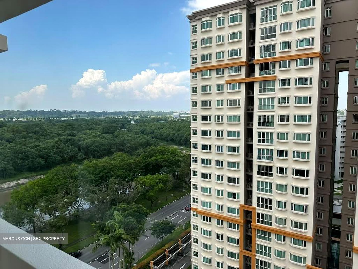 Evergreen Park (D19), Apartment #585606541